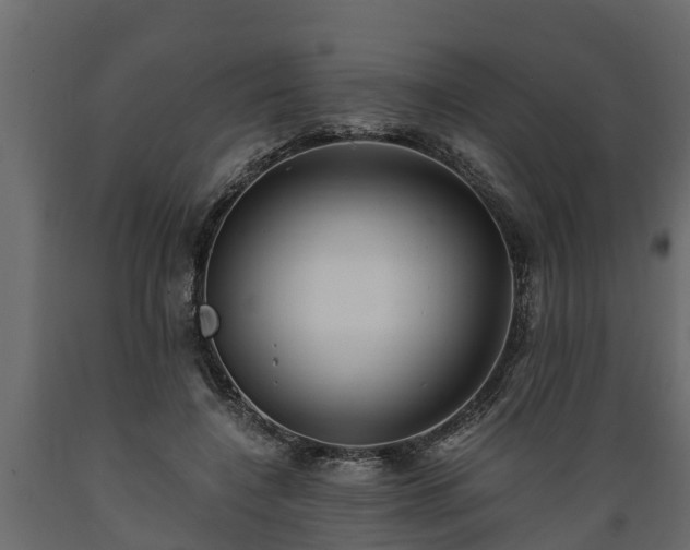 X0000089920548200707061021