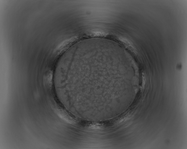 X0000089920550200707061021