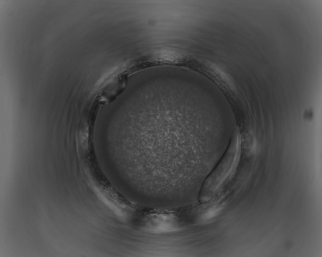 X0000089920552200707061021