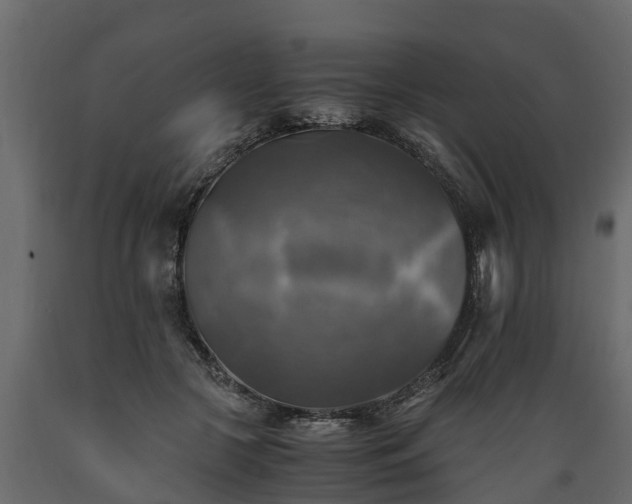 X0000089920553200707061021