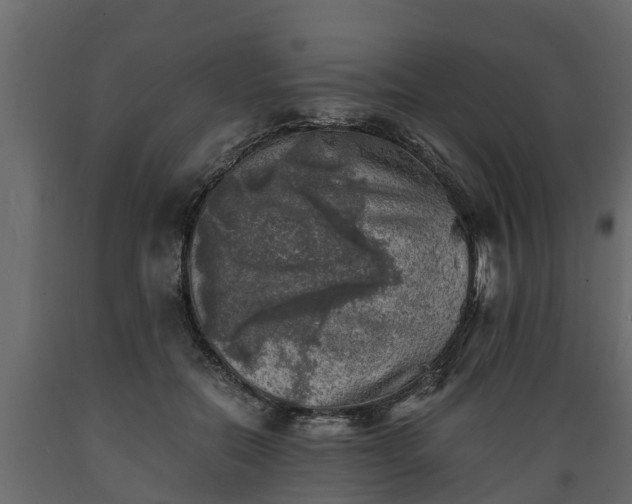 X0000089920554200707061021