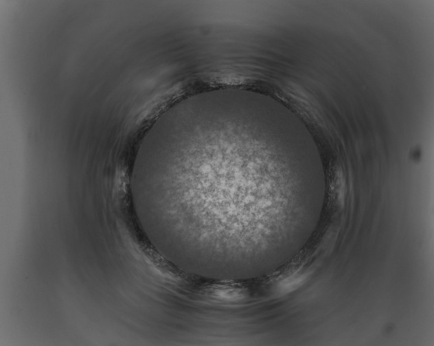 X0000089920555200707061021