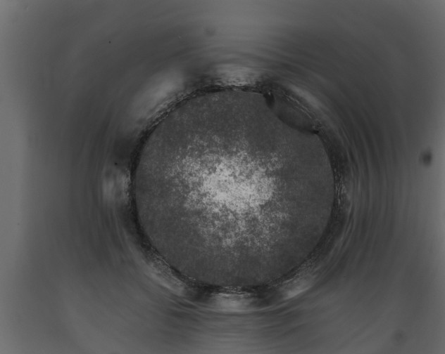 X0000089920556200707061021