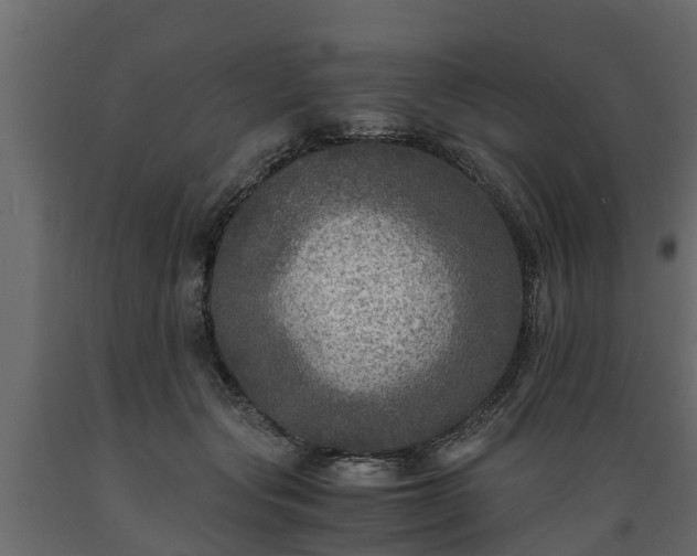 X0000089920557200707061021