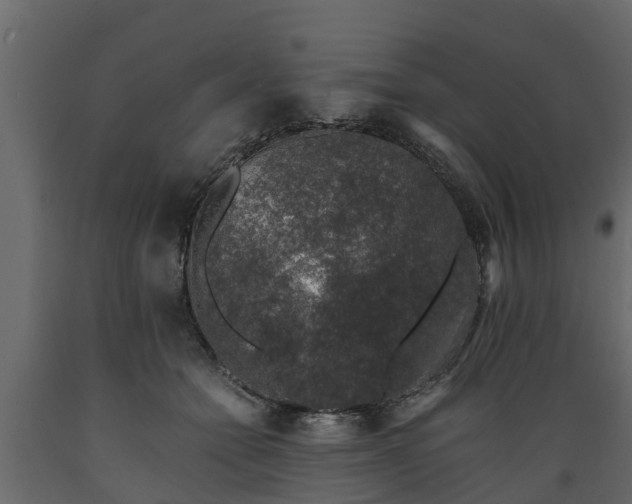 X0000089920558200707061021
