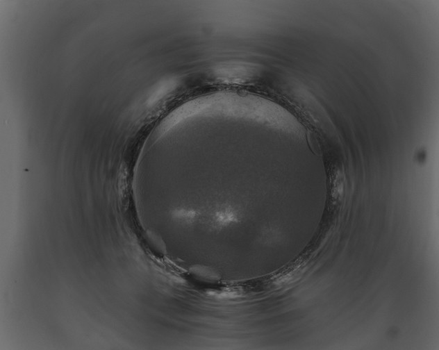 X0000089920559200707061021