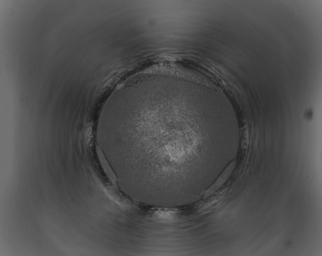 X0000089920560200707061021