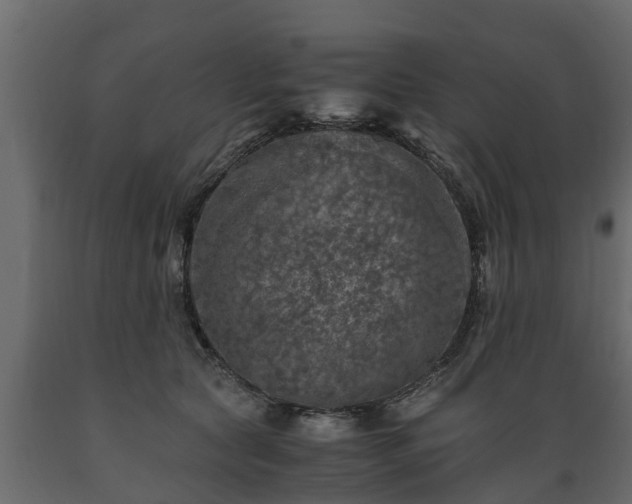 X0000089920561200707061021