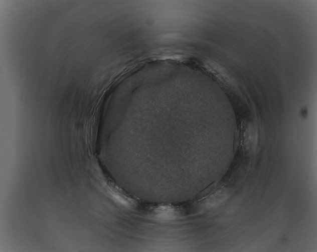X0000089920562200707061021