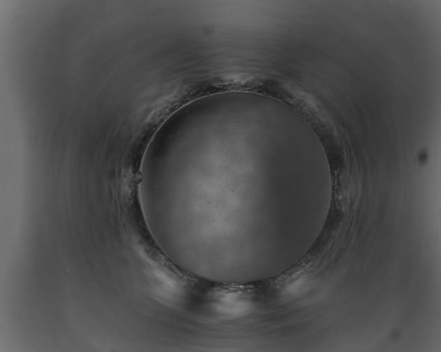 X0000089920563200707061021