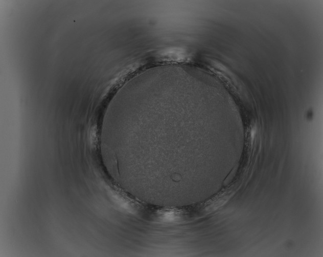 X0000089920564200707061021