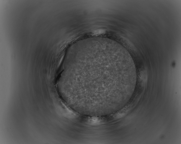 X0000089920565200707061021
