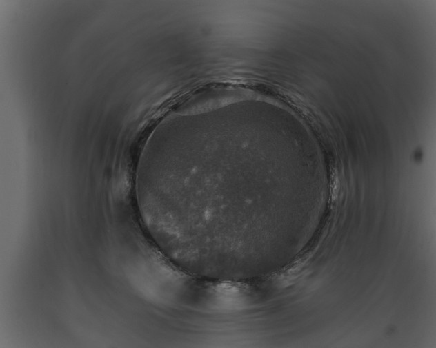 X0000089920566200707061021