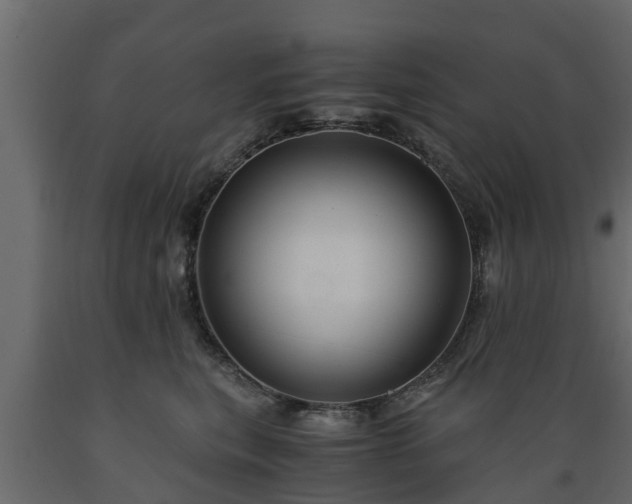 X0000089920567200707061021