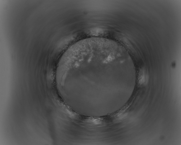 X0000089920569200707061021