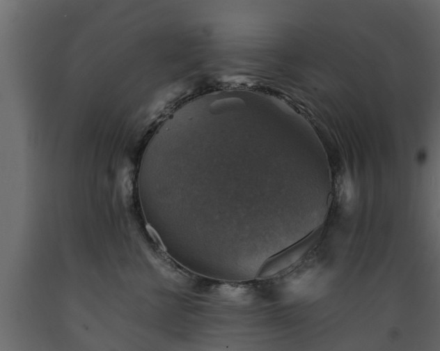 X0000089920570200707061021