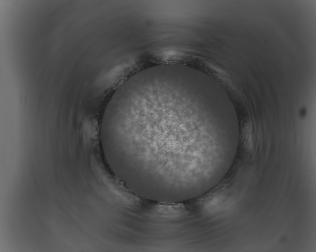 X0000089920571200707061021