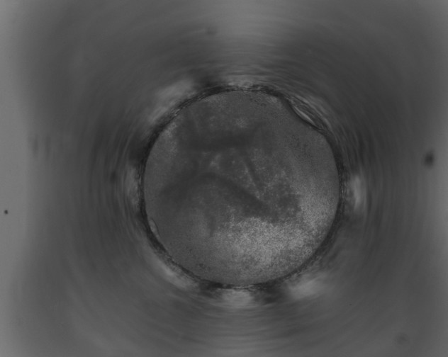 X0000089920572200707061021