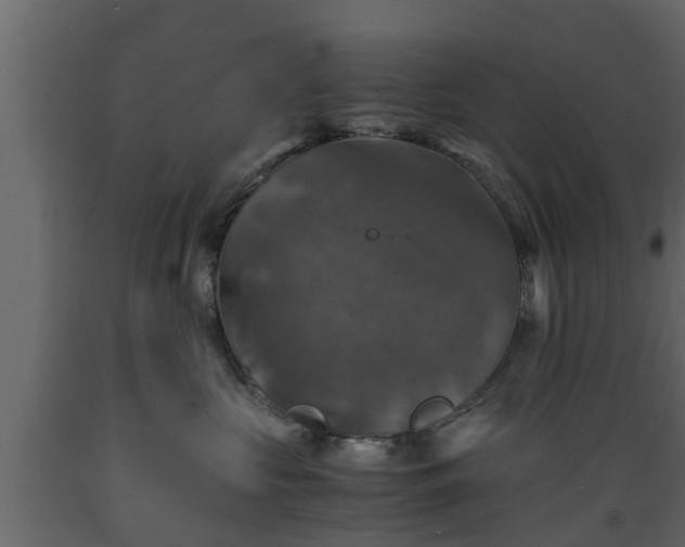X0000089920573200707061021