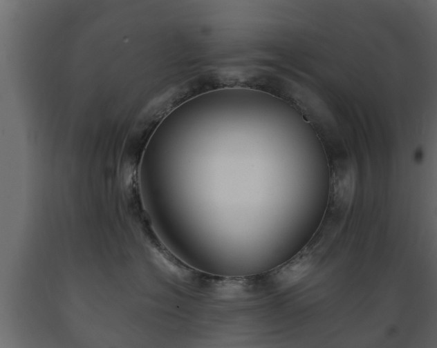X0000089920574200707061021