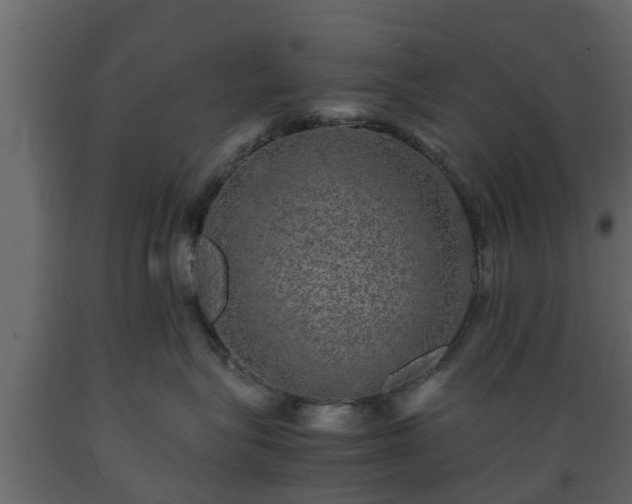 X0000089920575200707061021