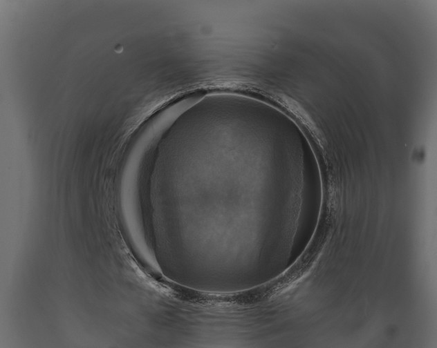 X0000089920577200707061021