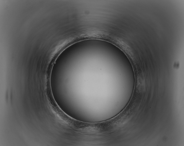 X0000089920578200707061021