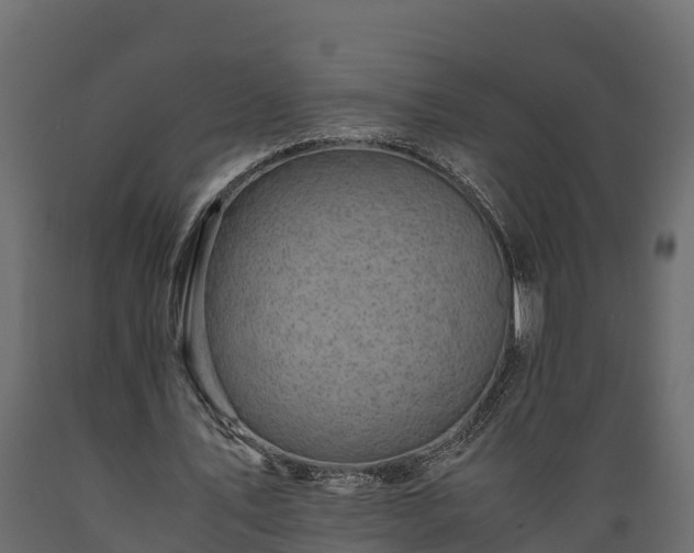 X0000089920579200707061021