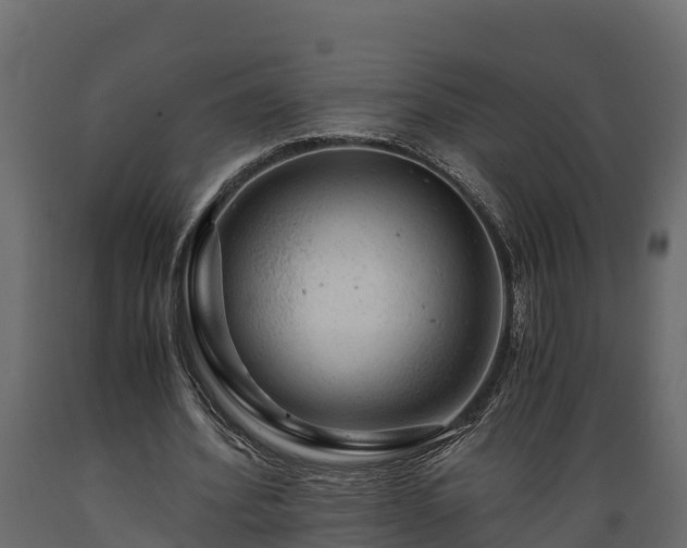 X0000089920580200707061021