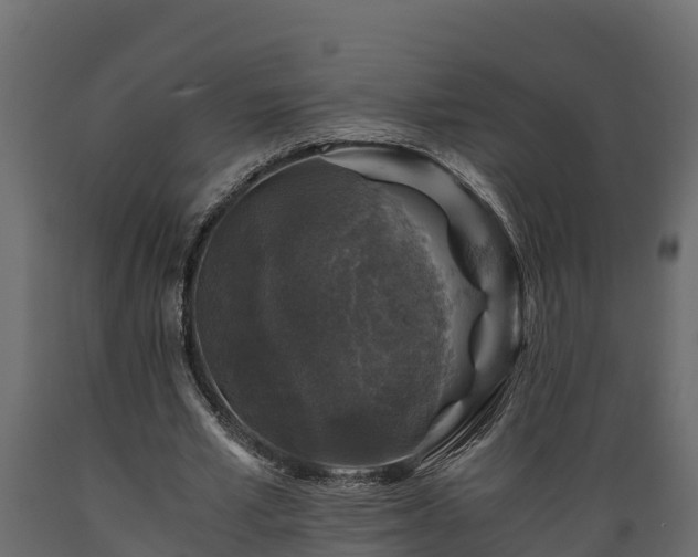 X0000089920581200707061021