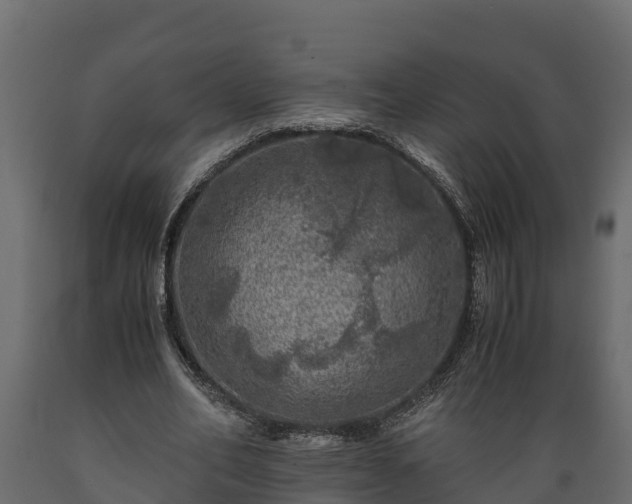 X0000089920582200707061021