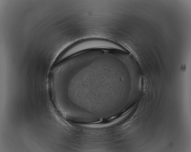 X0000089920584200707061021