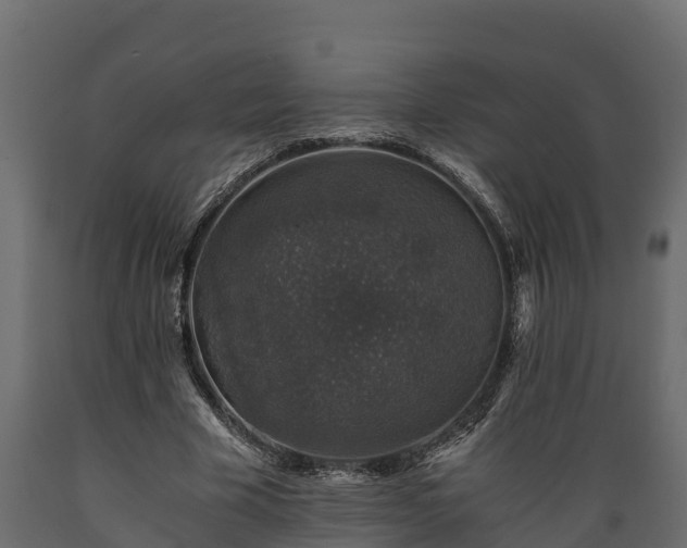 X0000089920585200707061021
