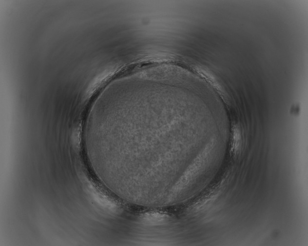 X0000089920586200707061021