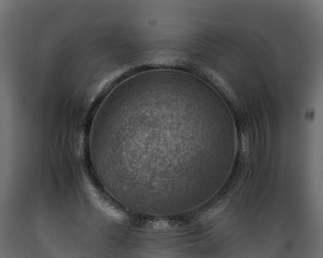 X0000089920588200707061021