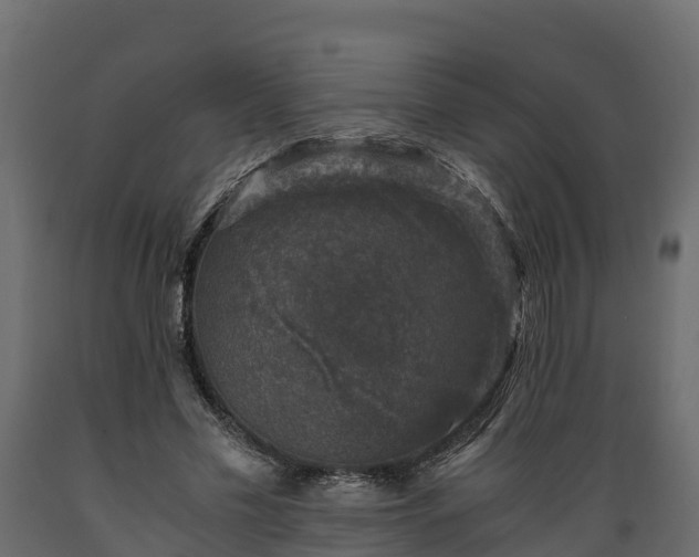 X0000089920589200707061021