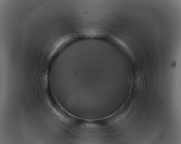 X0000089920590200707061021