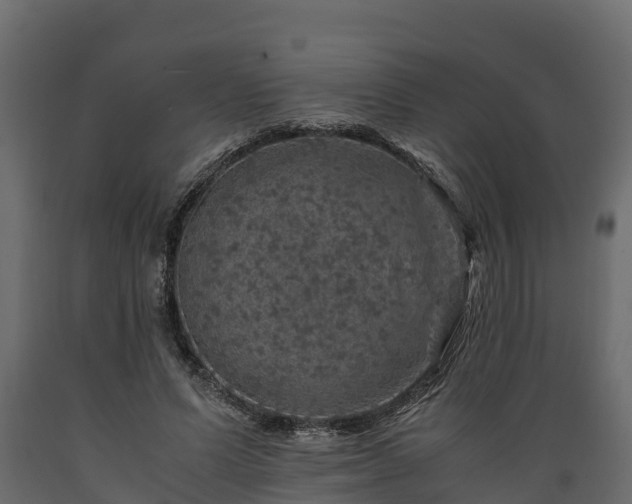 X0000089920591200707061021