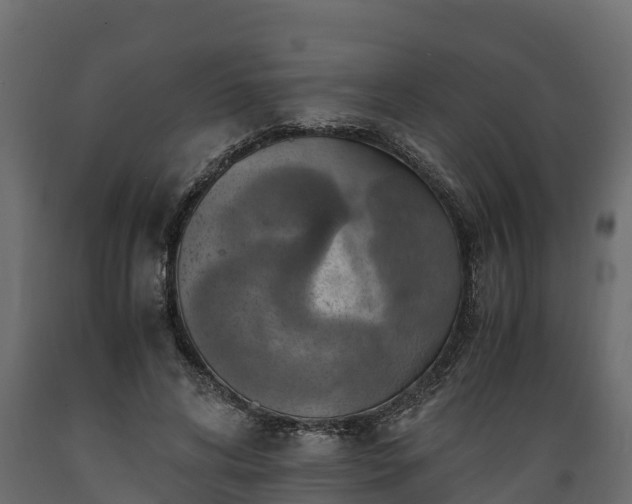 X0000089920592200707061021