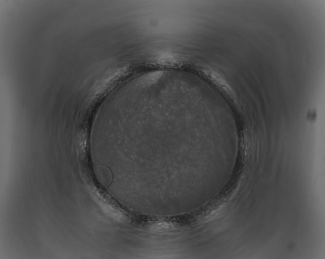 X0000089920593200707061021
