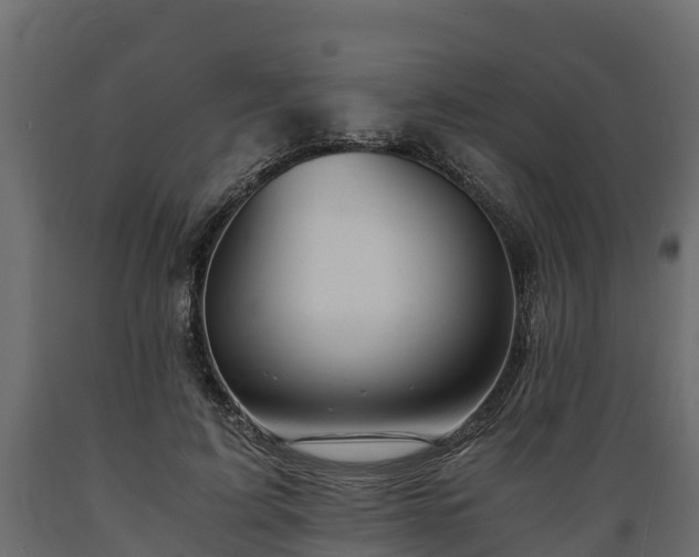 X0000089920595200707061021