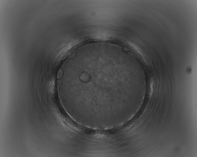 X0000089920596200707061021