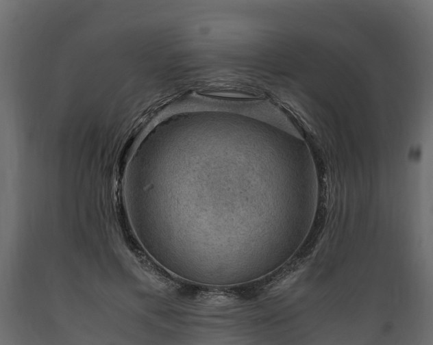 X0000089920597200707061021