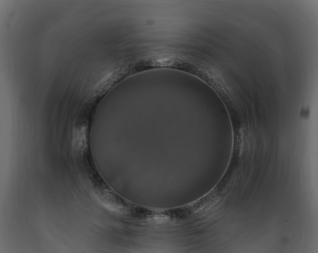 X0000089920598200707061021