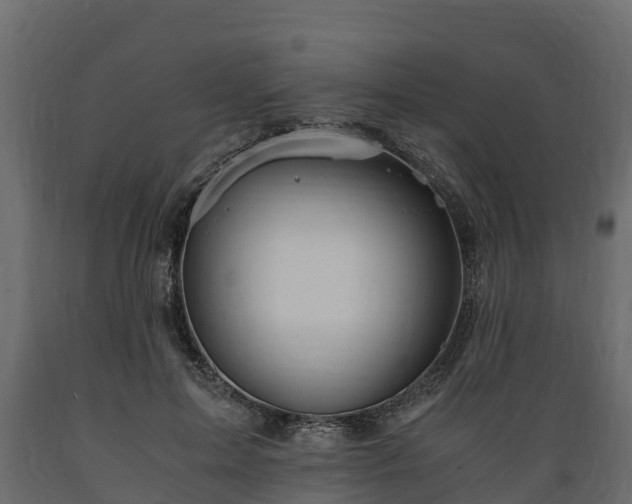 X0000089920599200707061021
