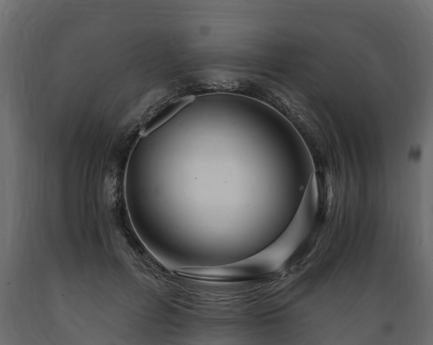 X0000089920600200707061021