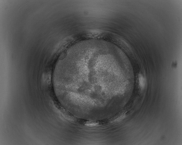 X0000089920602200707061020
