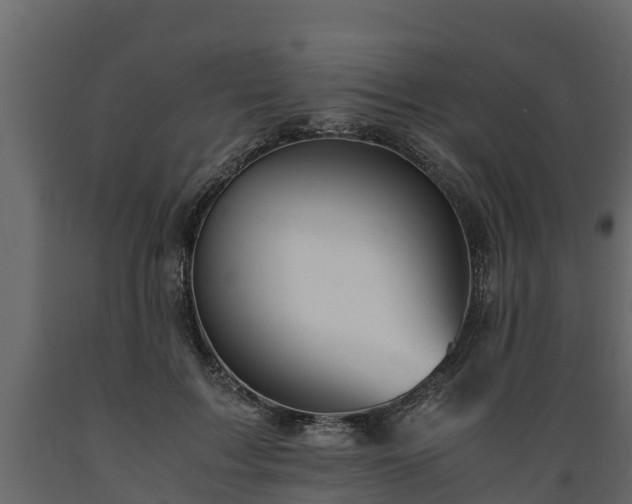 X0000089920603200707061020