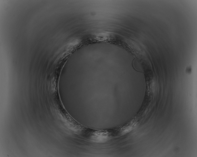 X0000089920606200707061020