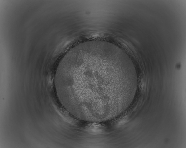 X0000089920607200707061020